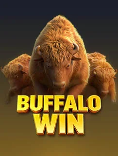 Buffalo Win — PG SOFT အာကိတ်ကာစီနို
