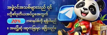 အဖွဲ့ဝင်အသစ်များသည် ၎င်းတို့၏ဒုတိယအပ်ငွေအတွက် 20% ဘောနပ်စ်ကို — ပရိုမိုးရှင်းပုံ