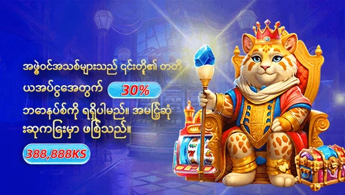 အဖွဲ့ဝင်အသစ်များသည် ၎င်းတို့၏ တတိယအပ်ငွေအတွက် 30% ဘောနပ်စ် — ပရိုမိုးရှင်းပုံ